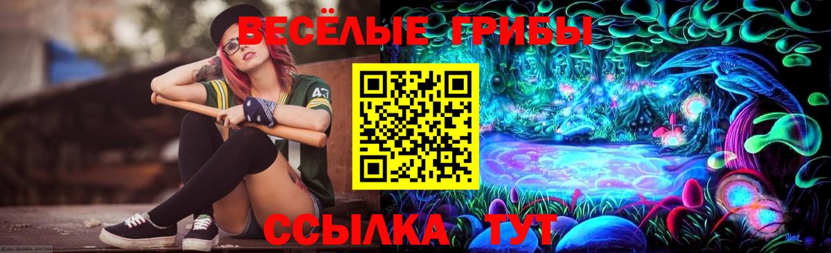 Псилоцибиновые грибы Magic Shrooms  Вход с VPN  купить наркотик  Тула 